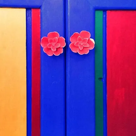 El Mundo De Frida Parking Y Terraza Appartement Conil De La Frontera